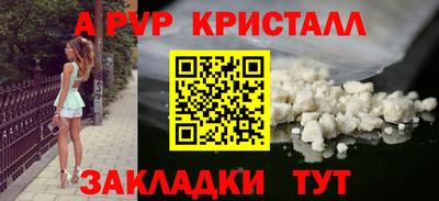 скорость Кингисепп